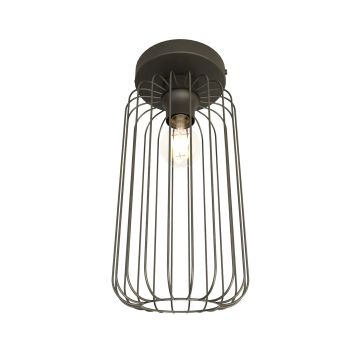 Emibig BARN 1367/1 Stropná lampa 1x15W/E27 IP20
