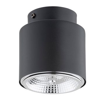 Emibig NANO 1310/1 Natáčané downlight svetlo 1x15W/GU10 AR111 IP20