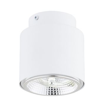 Emibig NANO 1311/1 Natáčané downlight svetlo 1x15W/GU10 AR111 IP20