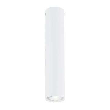 Emibig TECNO 1317/1M Natáčané downlight svetlo 1x8W/GU10 IP20