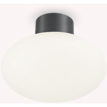 Ideal Lux CLIO 148861 Stropná lampa 1x42W/E27 ip44