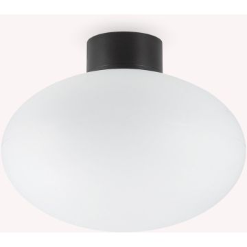 Ideal Lux CLIO 148878 Stropná lampa 1x42W/E27 ip44
