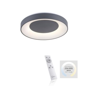 Paul Neuhaus ANIKA 14326-18 Stropné svietidlo 1x26,5W/LED 5000K 1450LM IP20