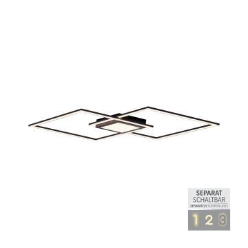 Paul Neuhaus ASMIN 14695-18 Stropné svietidlo 1x45W/LED 3000K 2980LM IP20