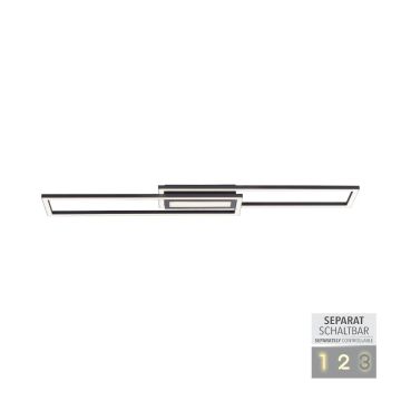 Paul Neuhaus ASMIN 14696-18 Stropné svietidlo 1x45W/LED 3000K 2900LM IP20