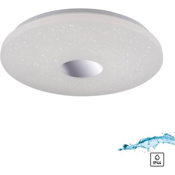 Paul Neuhaus LAVINIA 14822-17 Stropné svietidlo 1x40W/LED 3000k 3200lm ip44