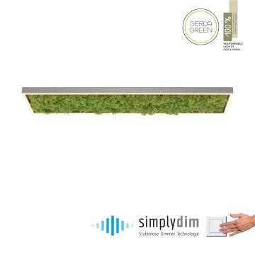 Paul Neuhaus GREEN KNUT 15623-66 Stropná lampa 1x25W/LED 3000k 2050lm ip20