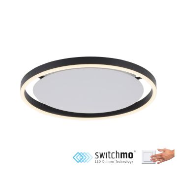 Paul Neuhaus RITUS 15391-13 Stropné svietidlo 1x20W/LED 3000K 800LM IP20