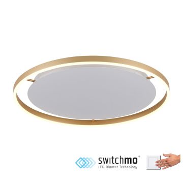 Paul Neuhaus RITUS 15392-60 Stropné svietidlo 1x28W/LED 3000K 1550LM IP20