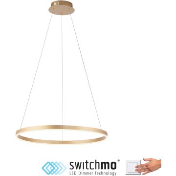 Paul Neuhaus RITUS 15394-60 Závesná lampa 1x31,5W/LED 3000k 3650lm ip20