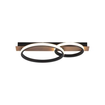 Paul Neuhaus TROOPER 15615-78 Stropné svietidlo 1x28W/LED 3000K 1000LM IP20