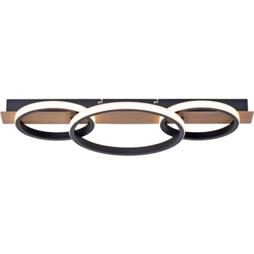 Paul Neuhaus TROOPER 15616-78 Stropná lampa 1x41W/LED 3000k 4600lm ip20