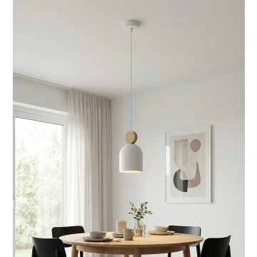 Emibig MESI 1693/1 Závesná lampa 1x8W/GU10 IP20
