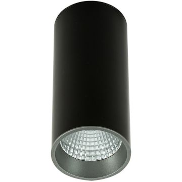 Italux Moldes Big BL/GR Celing 3000K SLC7392/12W 3000K BL+GR Natáčané downlight svetlo 1x12W/LED 3000K 820lm IP20