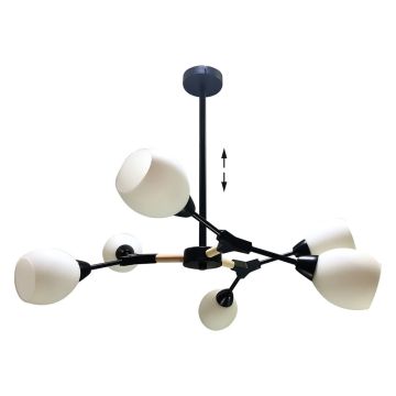 Prezent CITTERIO 18300 Stropná lampa 6x40W/E14 IP20