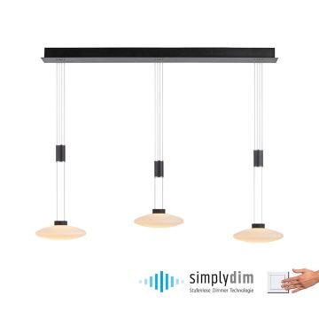 Paul Neuhaus LAUTADA 2081-18 Závesná lampa 3x7,5W/LED 3000K 1800LM IP20