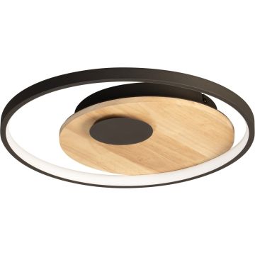 Fischer&Honsel Marit 21534 Stropná lampa 1x24,8w/led 2700k-6500k 3420lm ip20