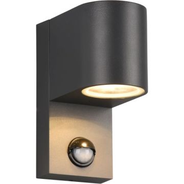 Trio ROYA 214260142 Stena svietidlo 1x35w/gu10 ip44