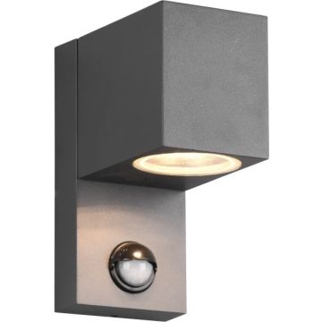 Trio ROYA 214269142 Stena svietidlo 1x35w/gu10 ip44