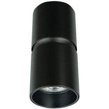Zambelis CEILING SPOT S160 Natáčané downlight svetlo 1x40w/GU10 IP20