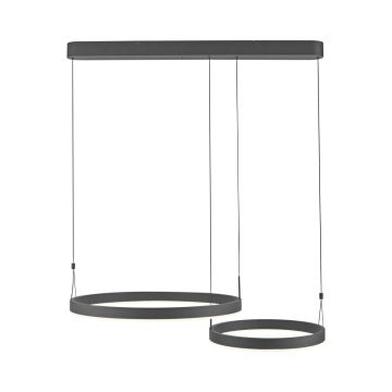 Paul Neuhaus ESKO 2360-18 Závesná lampa 2x41W/LED 2700K-5000K 1900lm IP20