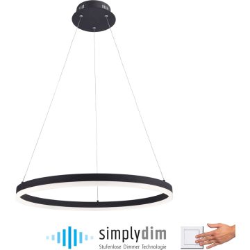 Paul Neuhaus TITUS 2382-13 Závesná lampa 1x44W/LED ip20