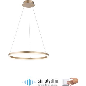 Paul Neuhaus TITUS 2382-60 Závesná lampa 1x44W/LED 3000k 5250lm ip20