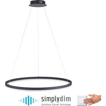 Paul Neuhaus TITUS 2383-13 Závesná lampa 1x61W/LED ip20
