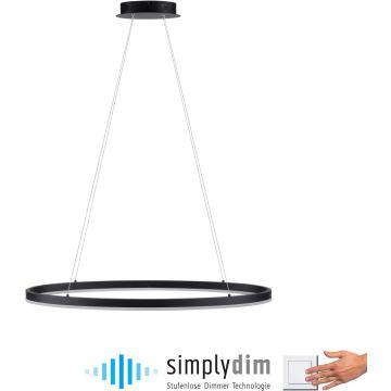 Paul Neuhaus TITUS 2392-13 Závesná lampa 1x38W/LED 3000k 1800lm ip20