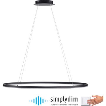 Paul Neuhaus TITUS 2393-13 Závesná lampa 1x57,5W/LED 3000k 2700lm ip20