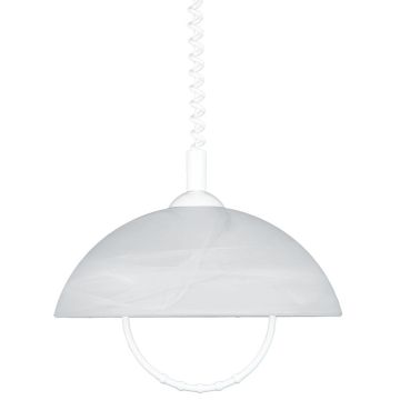 Prezent ALBERT 23068 Závesná lampa 1x60W/E27 IP20