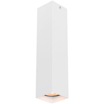 Italux Ander CLN-28394-L-WH Natáčané downlight svetlo 1x10W/GU10 IP20