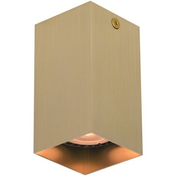 Italux Ander CLN-28394-S-GD Natáčané downlight svetlo 1x10W/GU10 IP20