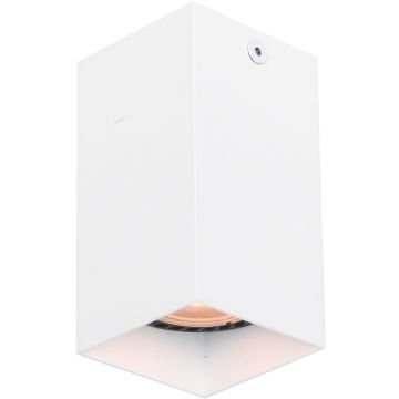 Italux Ander CLN-28394-S-WH Natáčané downlight svetlo 1x10W/GU10 IP20