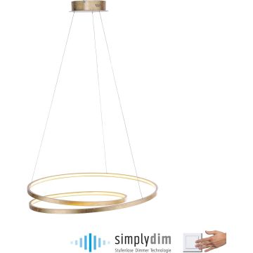 Paul Neuhaus ROMAN 2474-12 Závesná lampa 1x46W/LED 3000k 5100lm ip20