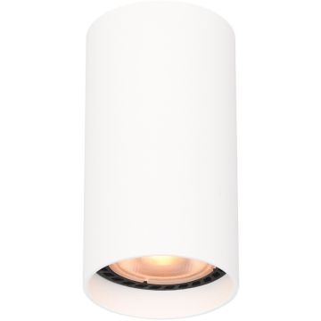 Italux Lopus CLN-48930-S-WH Natáčané downlight svetlo 1x10W/GU10 IP20
