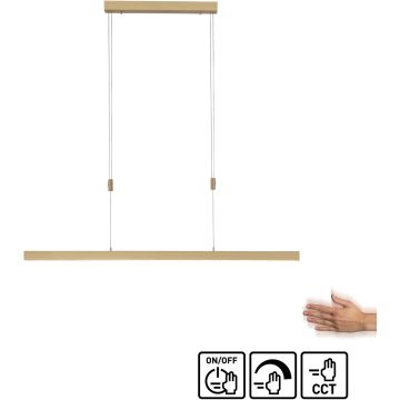 Paul Neuhaus ADRIANA 2568-60 Závesná lampa 3x45W/LED 2700-5000k 4680lm ip20