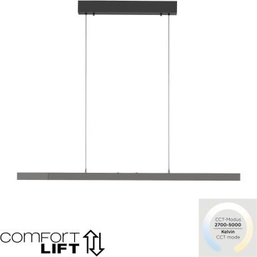 Paul Neuhaus ADRIANA COMFORT LIFT 2598-13 Závesná lampa 1x13W/LED 2700-5000k 2085lm ip20