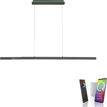 Paul Neuhaus Q-ARIAN 2569-13 Závesná lampa 4x55W/LED 2700-5000k 5520lm ip20