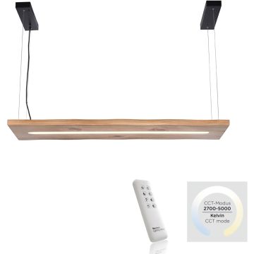 Paul Neuhaus PALMA 2625-79 Závesná lampa 1x27W/LED 2700-5000k 2750lm ip20