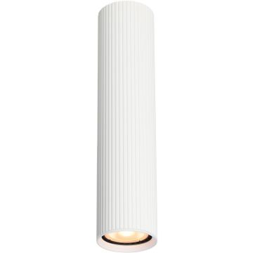 Italux Rilok CLN-83920-L-WH Natáčané downlight svetlo 1x10W/GU10 IP20