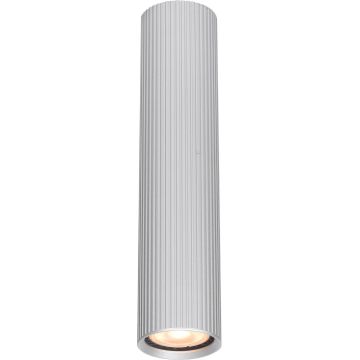 Italux Rilok CLN-83920-L-ALU Natáčané downlight svetlo 1x10W/GU10 IP20
