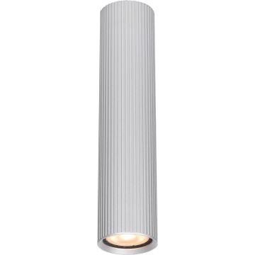 Italux Rilok CLN-83920-M-ALU Natáčané downlight svetlo 1x10W/GU10 IP20