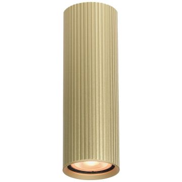 Italux Rilok CLN-83920-M-GD Natáčané downlight svetlo 1x10W/GU10 IP20