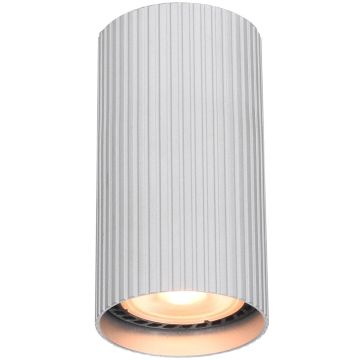 Italux Rilok CLN-83920-S-ALU Natáčané downlight svetlo 1x10W/GU10 IP20