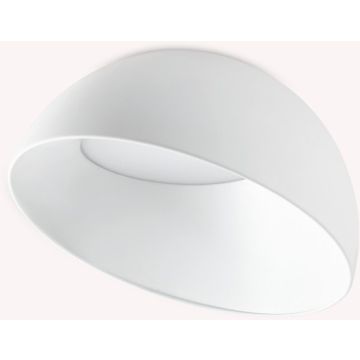 Ideal Lux COROLLA 297101 Stropná lampa 1x24W/LED ip20
