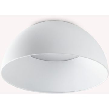 Ideal Lux COROLLA 297149 Stropná lampa 1x24W/LED ip20