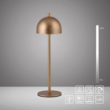 Paul Neuhaus BELLIS 19244-12 Stolná lampa 1x2,5W/LED 3000k 210lm ip54