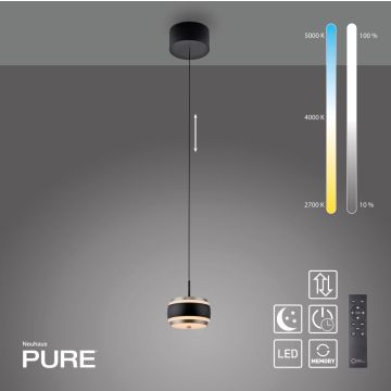 Paul Neuhaus PURE FALLING RINGS 2503-18 Závesná lampa 1x8W/LED 2200-5000k 310lm ip20