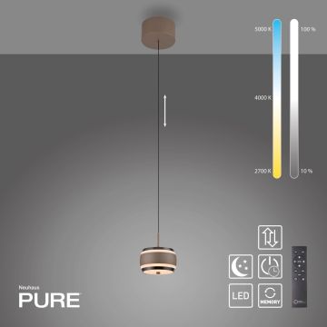 Paul Neuhaus PURE FALLING RINGS 2503-97 Závesná lampa 1x8W/LED 2200-5000k 310lm ip20
